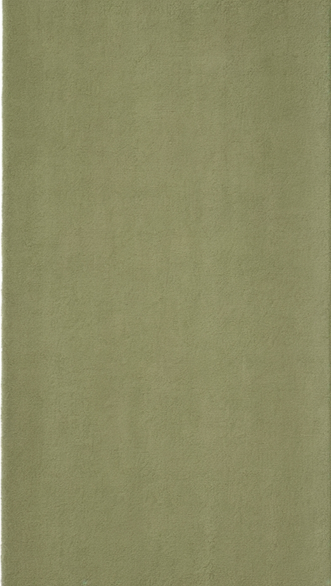 sage green area rug, large sage green rug, sage green shag rug, sage green wool rug, sage green rug 8x10